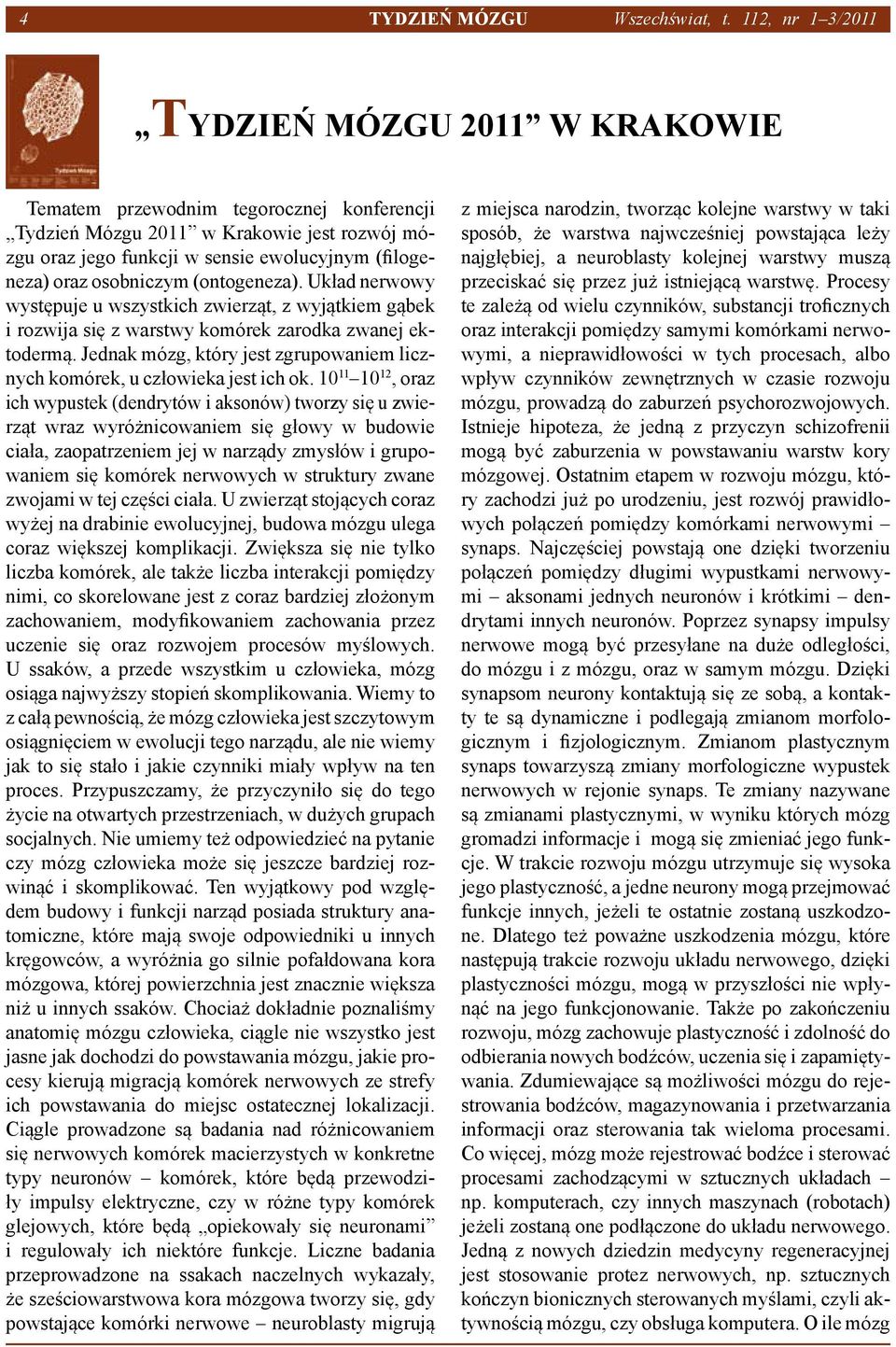 osobniczym (ontogeneza). Układ nerwowy występuje u wszystkich zwierząt, z wyjątkiem gąbek i rozwija się z warstwy komórek zarodka zwanej ektodermą.