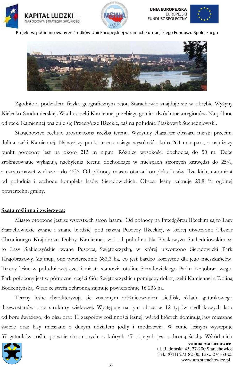 Wyżynny charakter obszaru miasta przecina dolina rzeki Kamiennej. Najwyższy punkt terenu osiąga wysokość około 264 m n.p.m., a najniższy punkt położony jest na około 213 m n.p.m. Różnice wysokości dochodzą do 50 m.