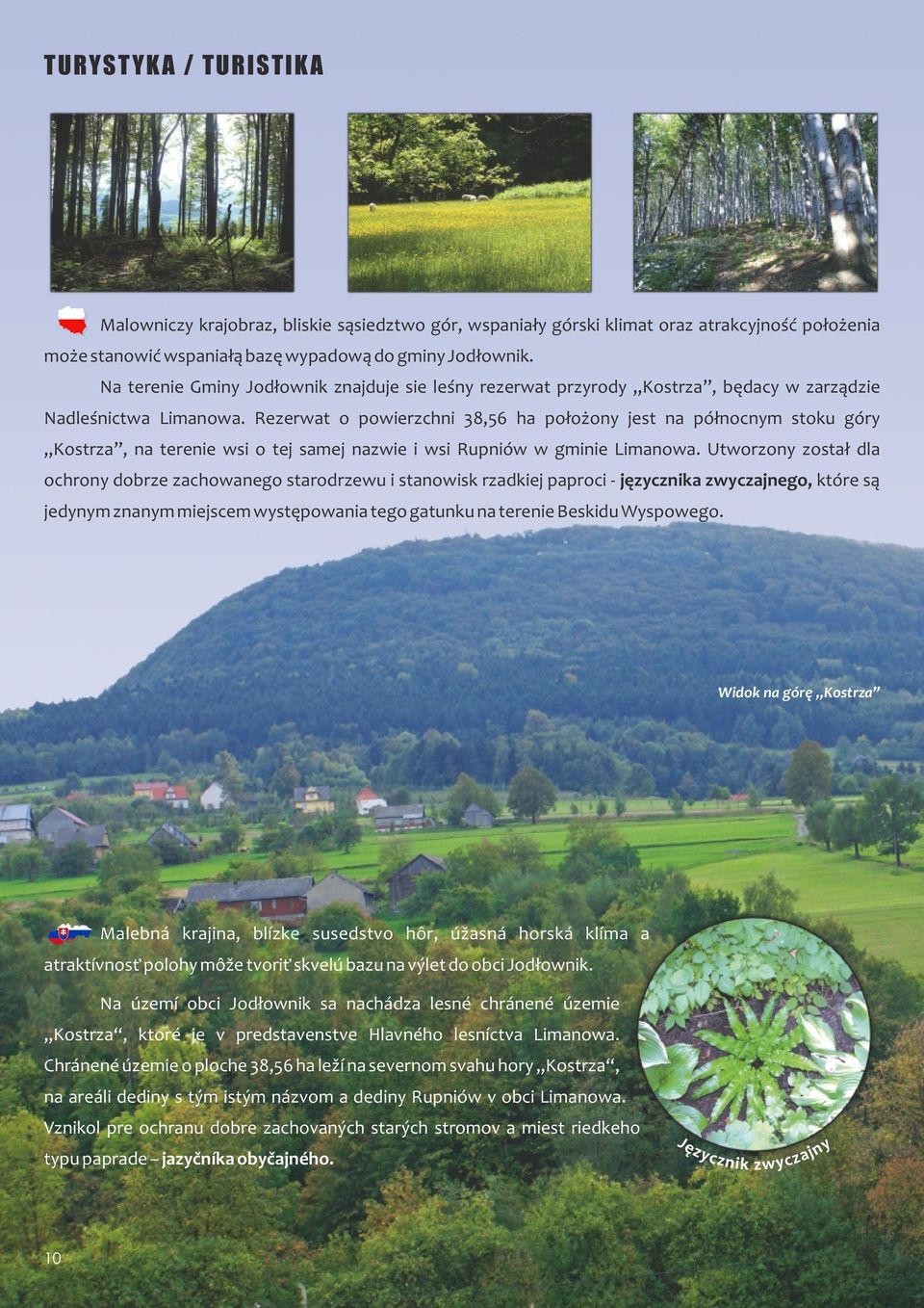 Rezerwat o powierzchni 38,56 ha położony jest na północnym stoku góry Kostrza, na terenie wsi o tej samej nazwie i wsi Rupniów w gminie Limanowa.