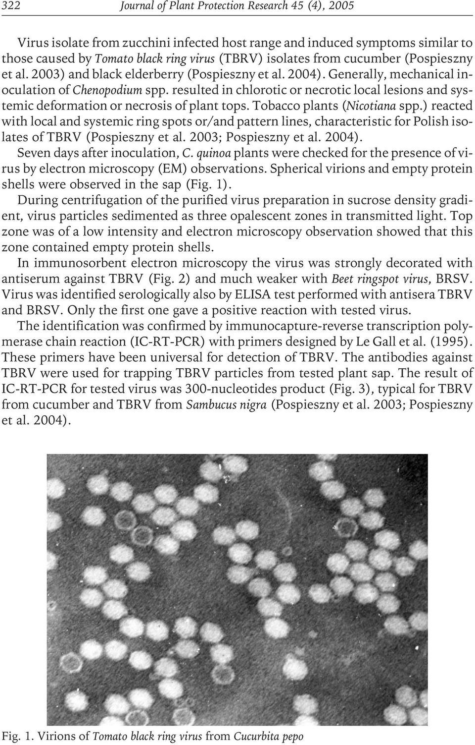 resulted in chlorotic or necrotic local lesions and systemic deformation or necrosis of plant tops. Tobacco plants (Nicotiana spp.