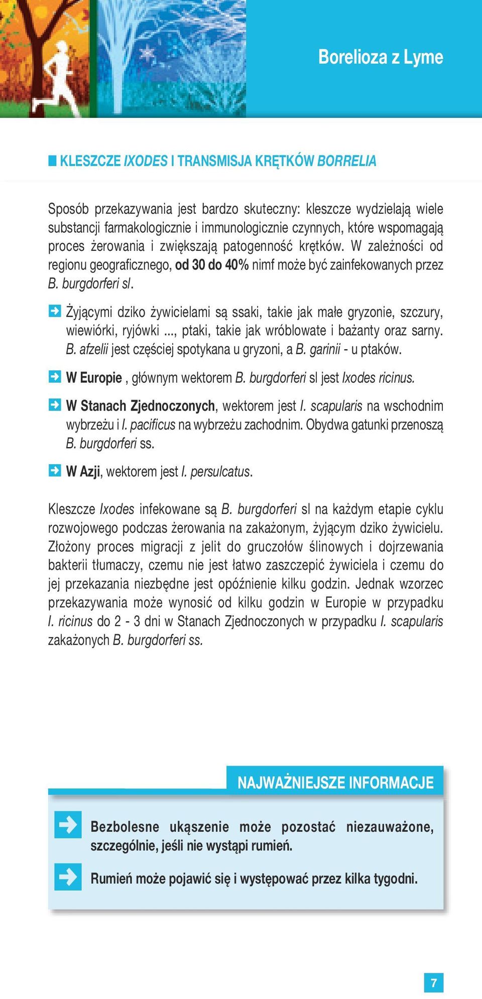 ssaki, takie jak małe gryzonie, szczury, wiewiórki, ryjówki, ptaki, takie jak wróblowate i bażanty oraz sarny B afzelii jest częściej spotykana u gryzoni, a B garinii - u ptaków W Europie, głównym