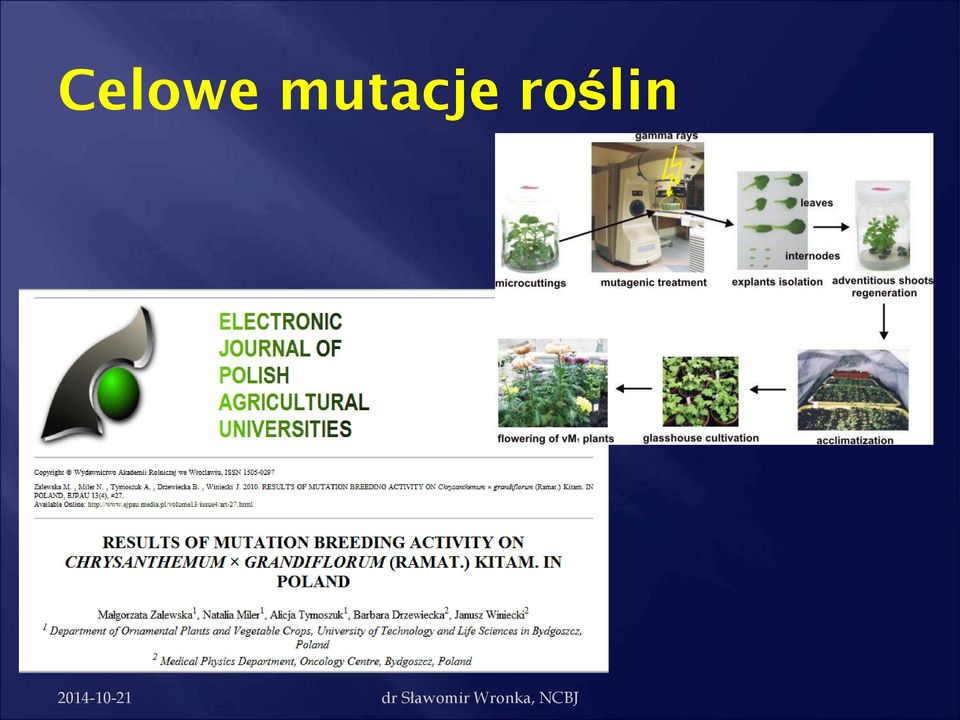 roślin