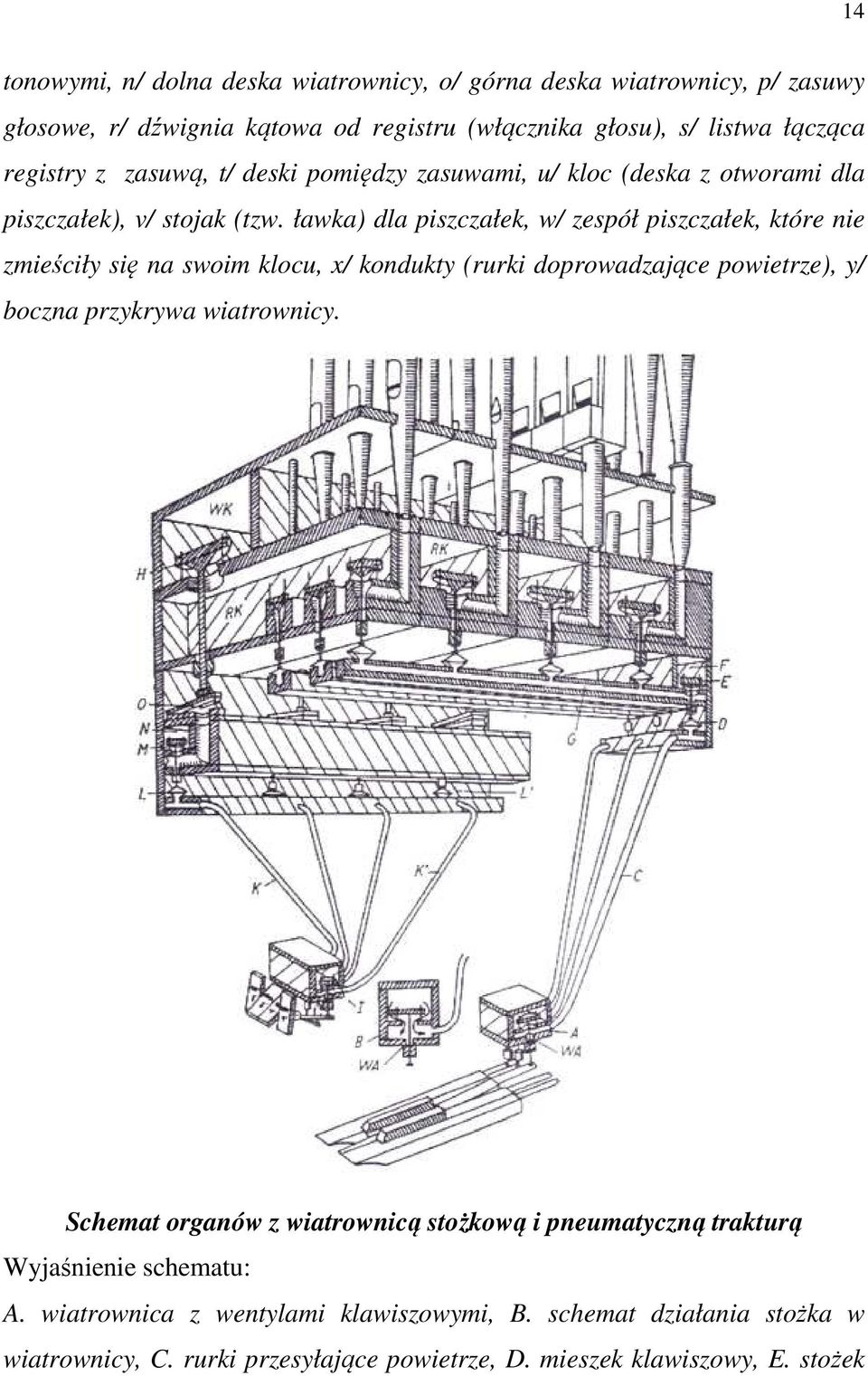 ławka) dla piszczałek, w/ zespół piszczałek, które nie zmieściły się na swoim klocu, x/ kondukty (rurki doprowadzające powietrze), y/ boczna przykrywa wiatrownicy.