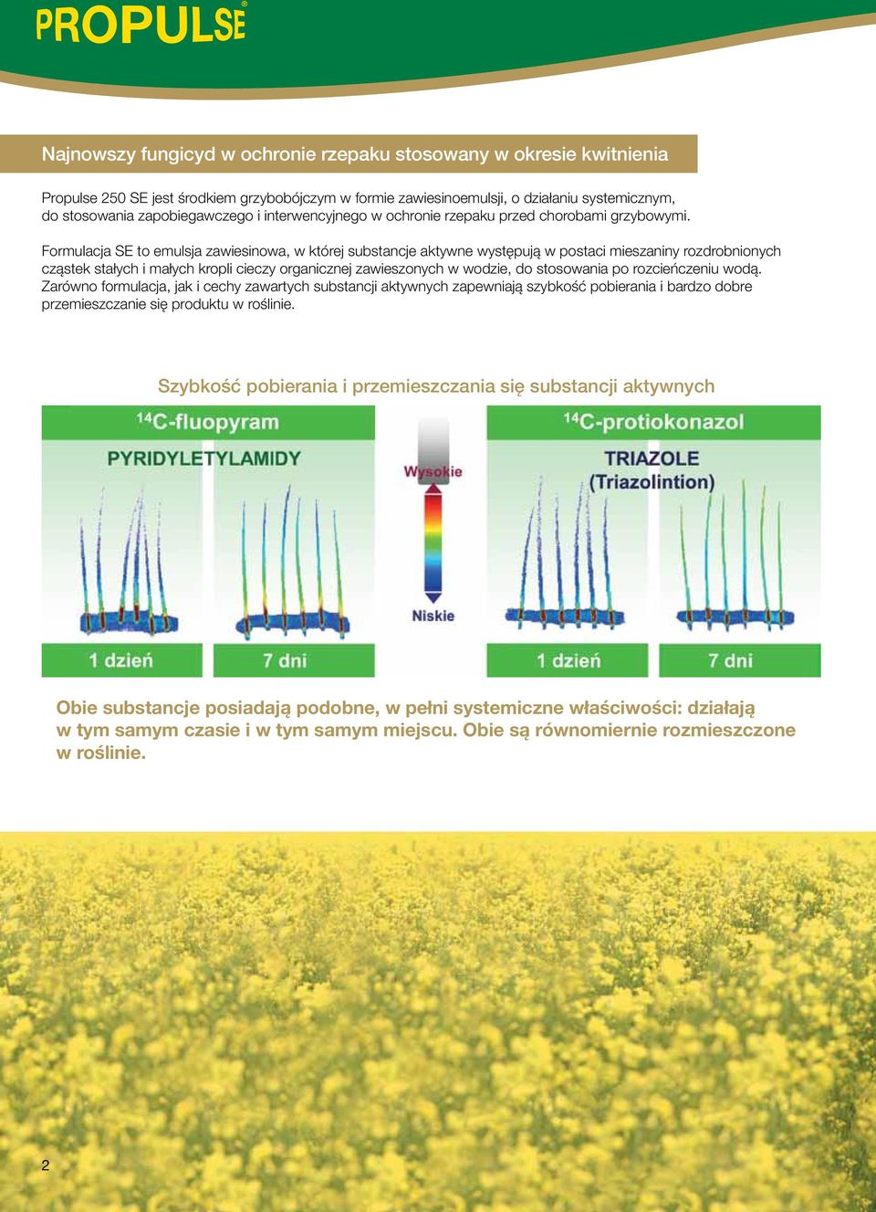 Formulacja SE to emulsja zawiesinowa, w której substancje aktywne występują w postaci mieszaniny rozdrobnionych cząstek stałych i małych kropli cieczy organicznej zawieszonych w wodzie, do stosowania