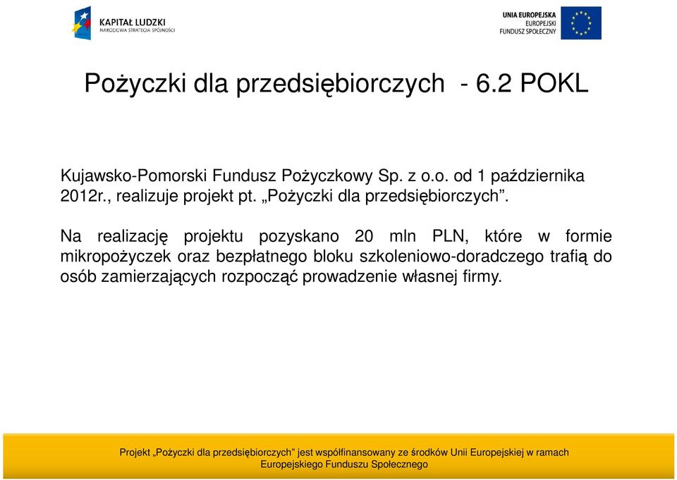 Na realizację projektu pozyskano 20 mln PLN, które w formie mikropożyczek oraz
