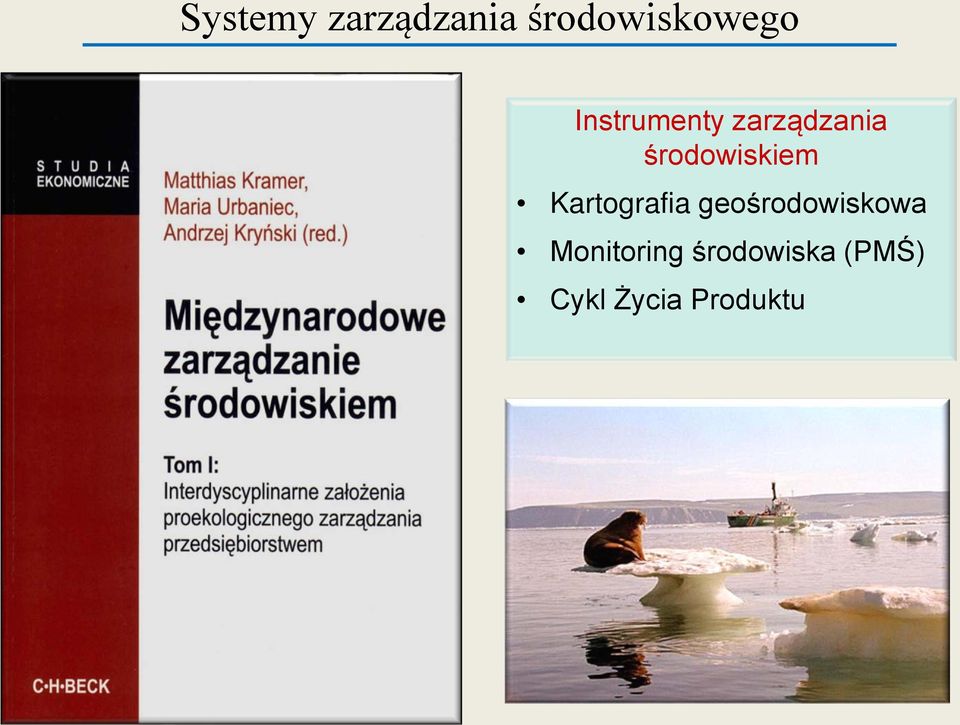 Kartografia geośrodowiskowa