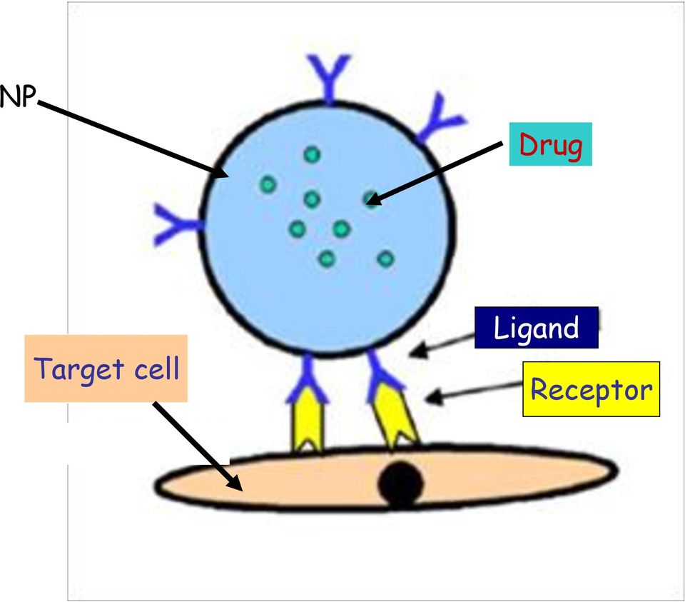 cell