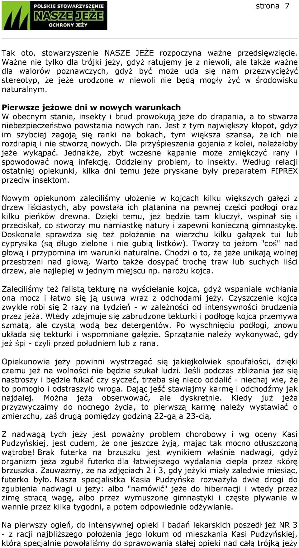 w środowisku naturalnym. Pierwsze jeżowe dni w nowych warunkach W obecnym stanie, insekty i brud prowokują jeże do drapania, a to stwarza niebezpieczeństwo powstania nowych ran.