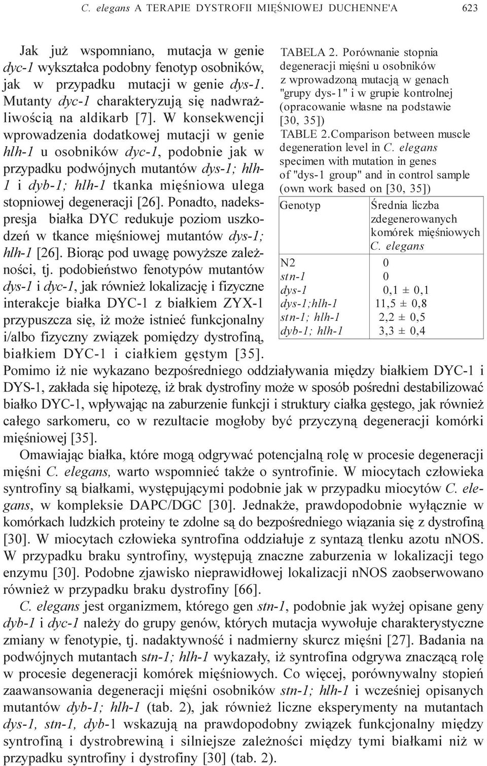 W konsekwencji wprowadzenia dodatkowej mutacji w genie hlh-1 u osobników dyc-1, podobnie jak w przypadku podwójnych mutantów dys-1; hlh- 1 i dyb-1; hlh-1 tkanka miêœniowa ulega stopniowej degeneracji