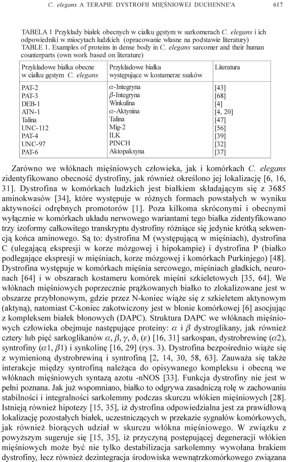 elegans sarcomer and their huma n counterparts (own work based on literature) Przyk³adowe bia³ka obecne w cia³ku gêstym C.