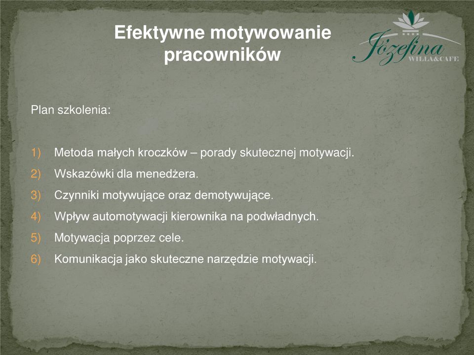 3) Czynniki motywujące oraz demotywujące.