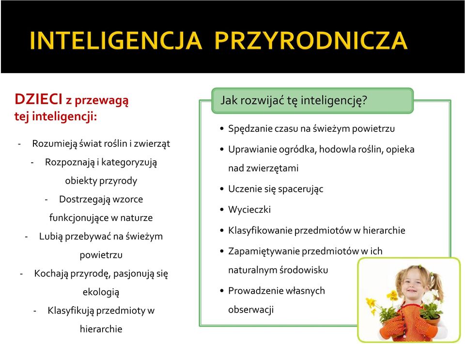 hierarchie Jak rozwijać tę inteligencję?