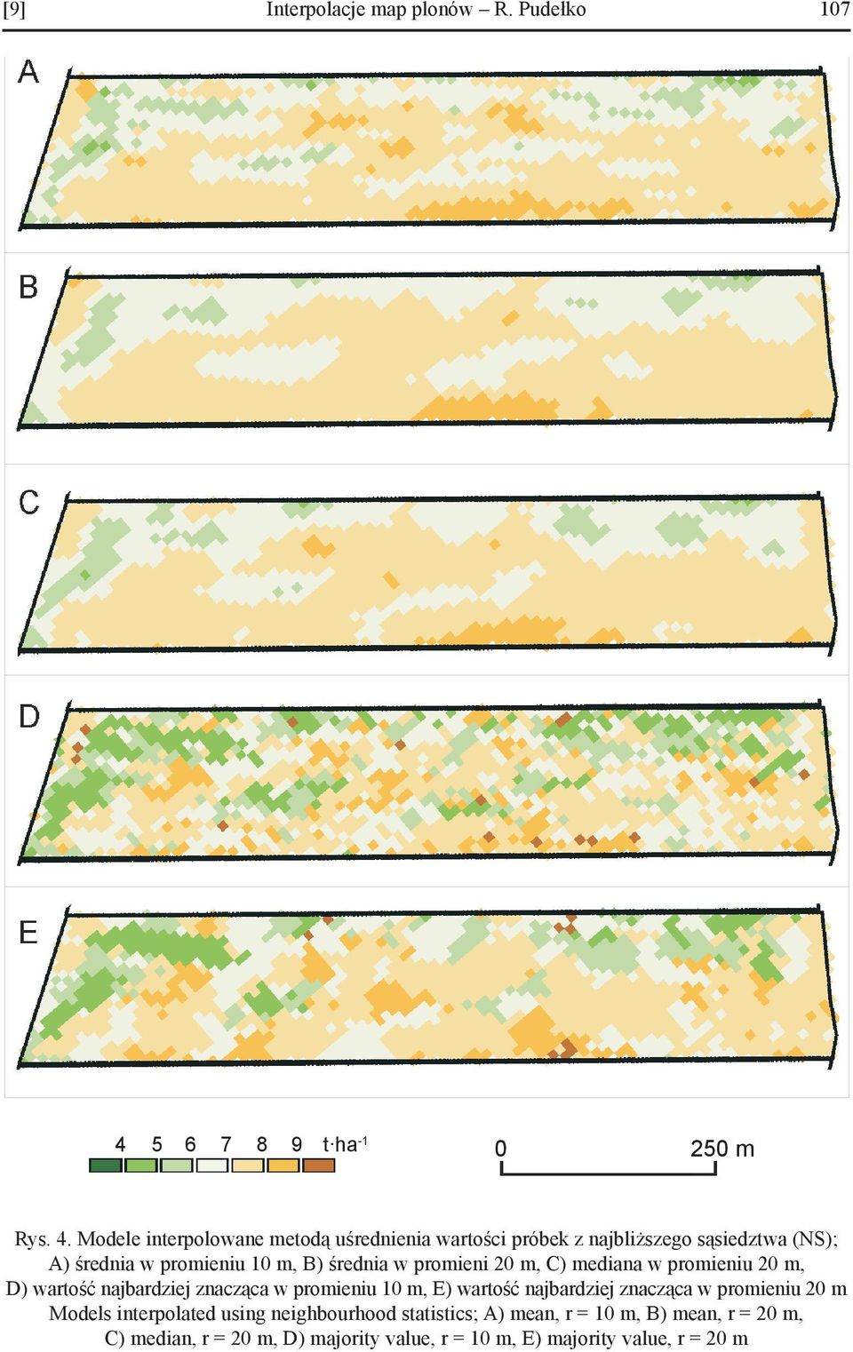 Modele interpolowane metodą uśrednienia wartości próbek z najbliższego sąsiedztwa (NS); A) średnia w promieniu 10 m, B) średnia w