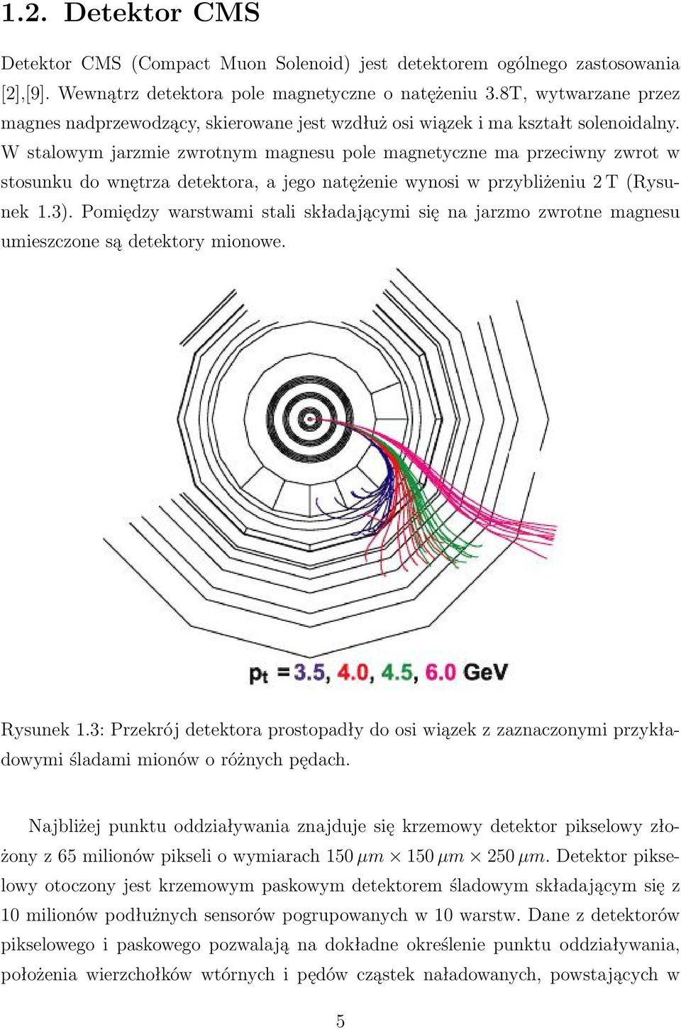 W stalowym jarzmie zwrotnym magnesu pole magnetyczne ma przeciwny zwrot w stosunku do wnętrza detektora, a jego natężenie wynosi w przybliżeniu 2 T (Rysunek 1.3).