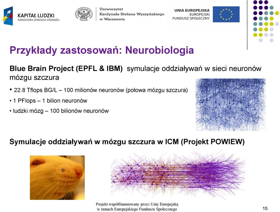 8 Tflops BG/L 100 milionów neuronów (połowa mózgu szczura) 1 PFlops 1 bilion
