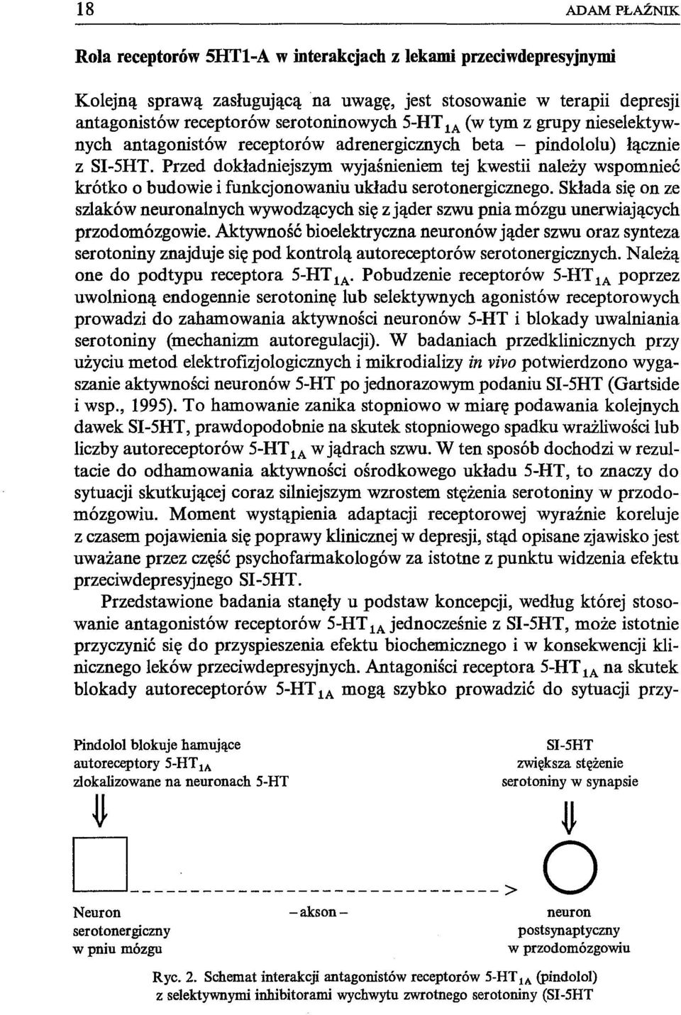 Przed dokładniejszym wyjaśnieniem tej kwestii należy wspomnieć krótko o budowie i funkcjonowaniu układu serotonergicznego.