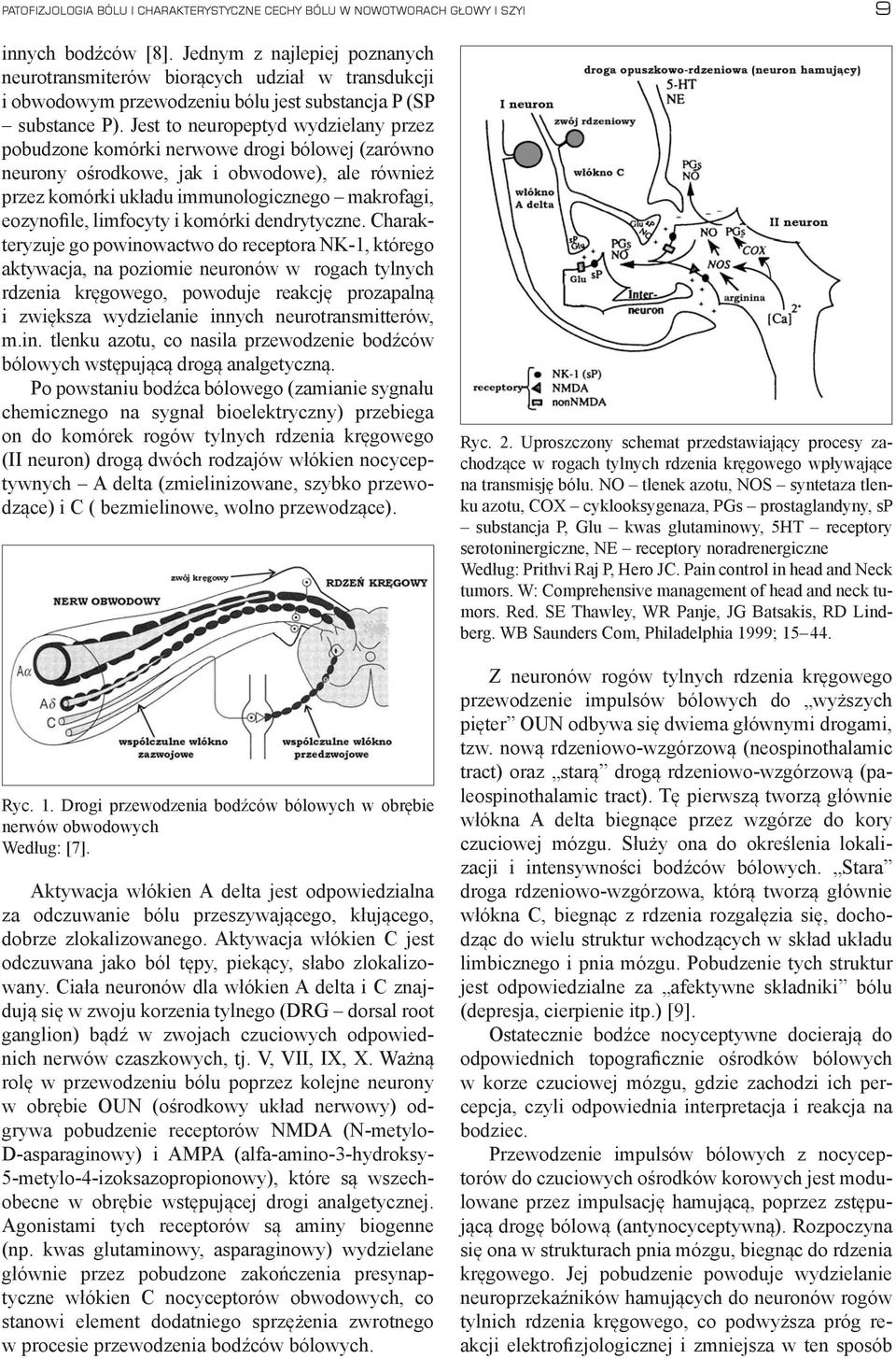 Jest to neuropeptyd wydzielany przez pobudzone komórki nerwowe drogi bólowej (zarówno neurony ośrodkowe, jak i obwodowe), ale również przez komórki układu immunologicznego makrofagi, eozynofile,