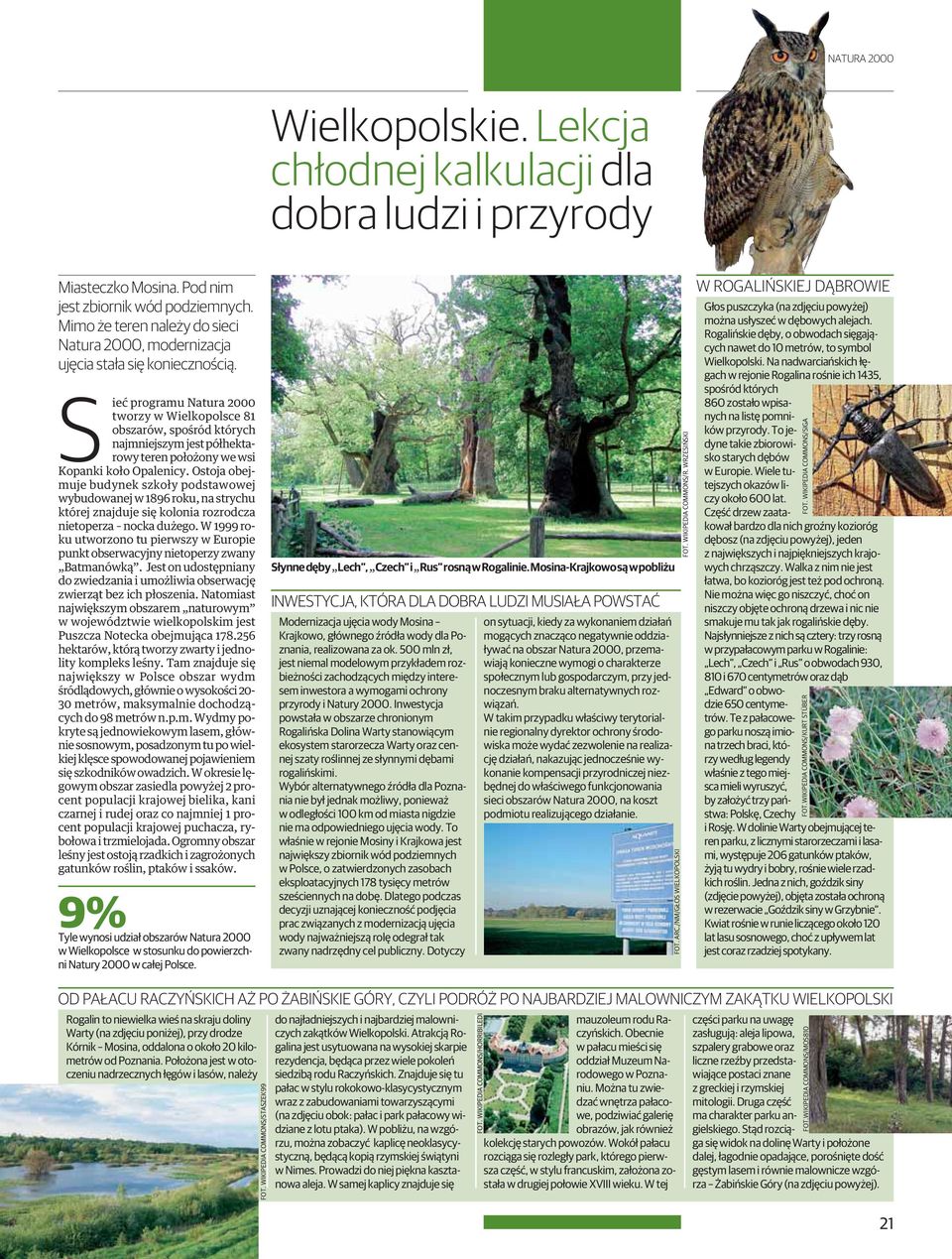 Sieć programu Natura 2000 tworzy w Wielkopolsce 81 obszarów, spośród których najmniejszym jest półhektarowy teren położony we wsi Kopanki koło Opalenicy.