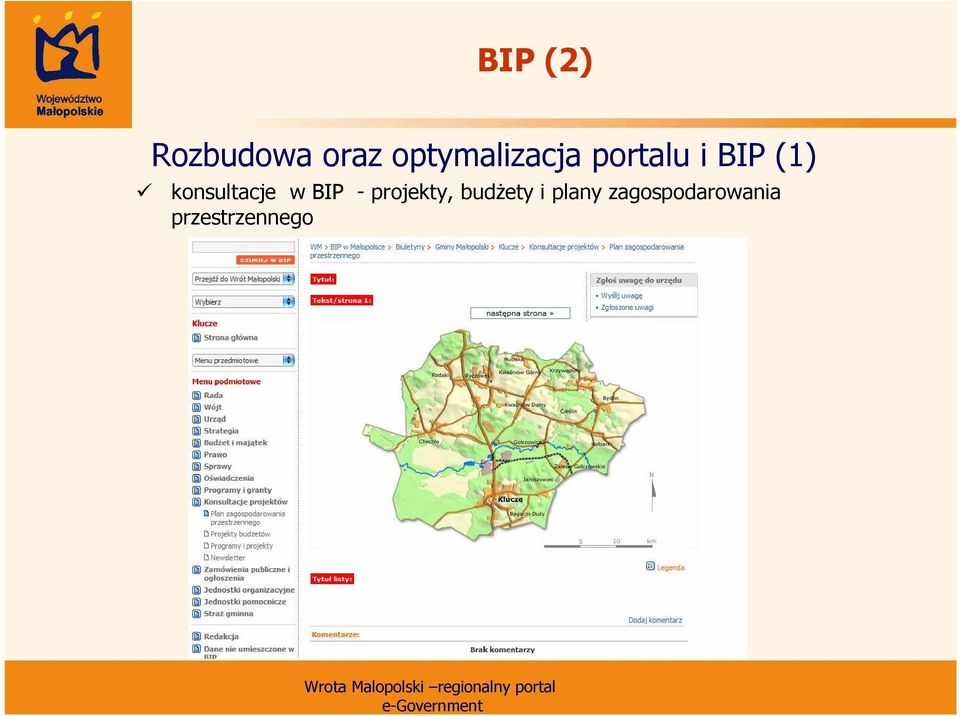 konsultacje w BIP - projekty,