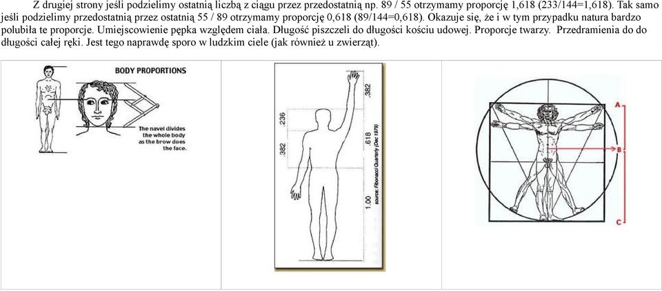 Tak samo jeśli podzielimy przedostatnią przez ostatnią 55 / 89 otrzymamy proporcję 0,618 (89/144=0,618).