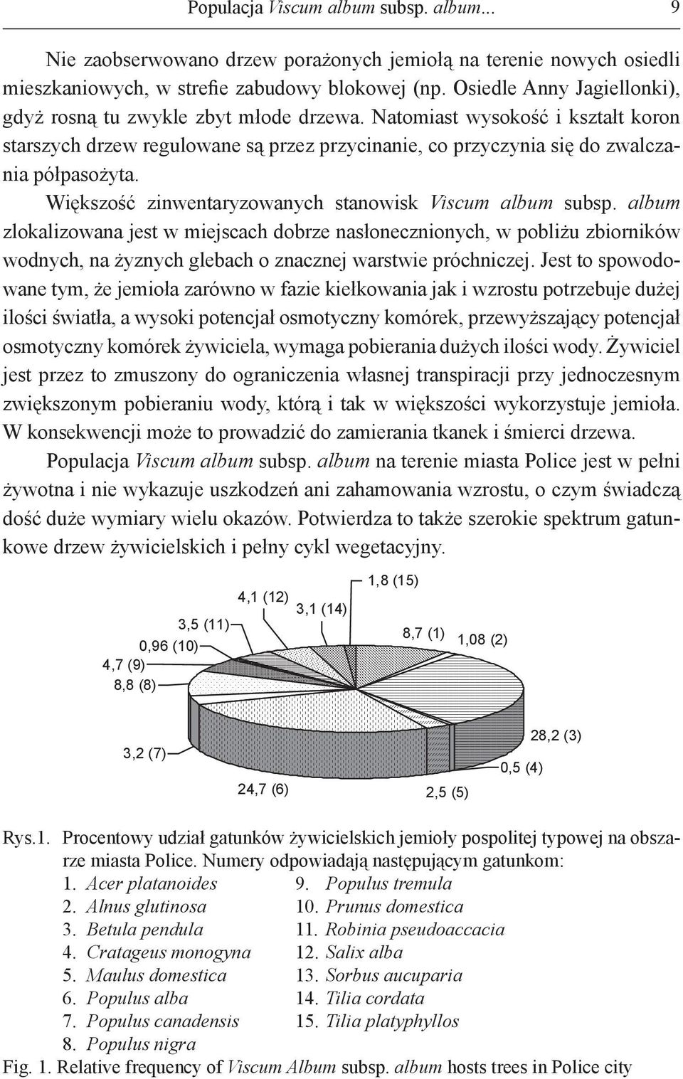 Większość zinwentaryzowanych stanowisk Viscum album subsp.