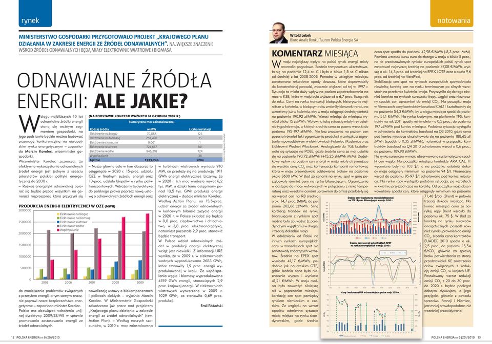 Wciągu najbliższych 10 lat odnawialne źródła energii staną się ważnym segmentem gospodarki, na jego podstawie będzie można budować przewagę konkurencyjną na europejskim rynku energetycznym zapowiada