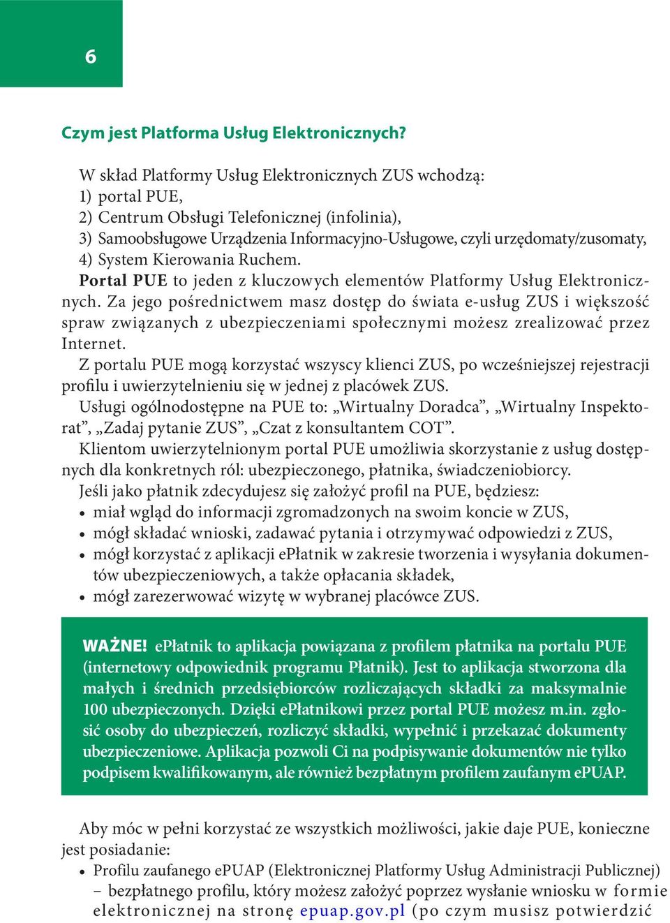 System Kierowania Ruchem. Portal PUE to jeden z kluczowych elementów Platformy Usług Elektronicznych.