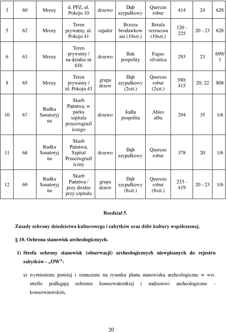 ) Quercus robur (2szt.