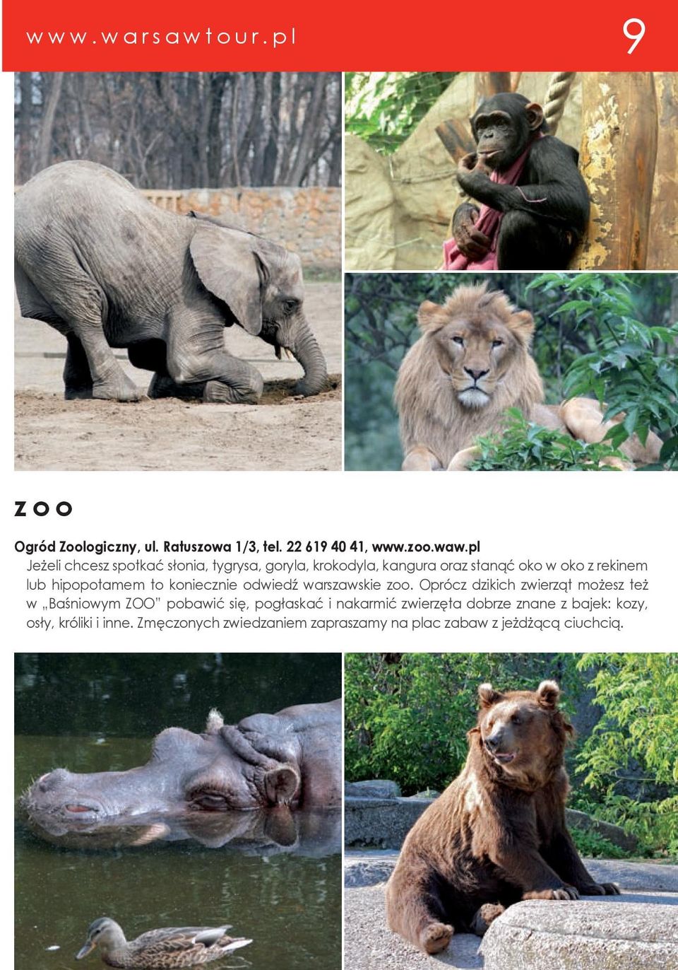 koniecznie odwiedź warszawskie zoo.