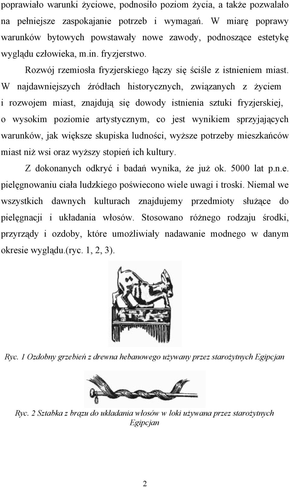 W najdawniejszych źródłach historycznych, związanych z życiem i rozwojem miast, znajdują się dowody istnienia sztuki fryzjerskiej, o wysokim poziomie artystycznym, co jest wynikiem sprzyjających