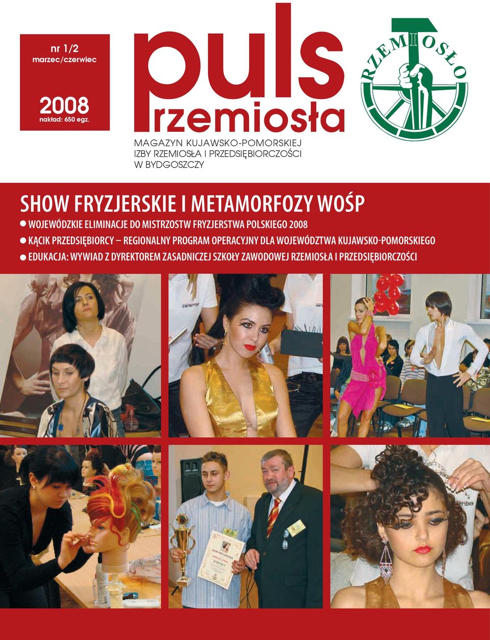 FRYZJERSKIE I METAMORFOZY WOŚP WOJEWÓDZKIE ELIMINACJE DO MISTRZOSTW FRYZJERSTWA POLSKIEGO 2008 KĄCIK