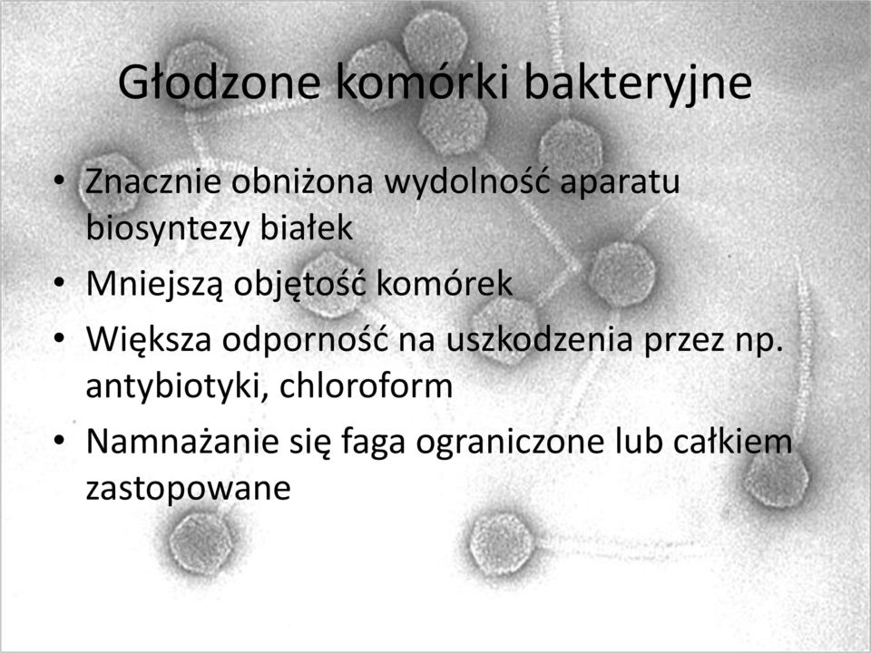 Większa odpornośd na uszkodzenia przez np.