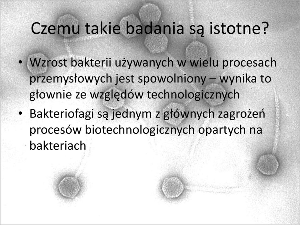 jest spowolniony wynika to głownie ze względów