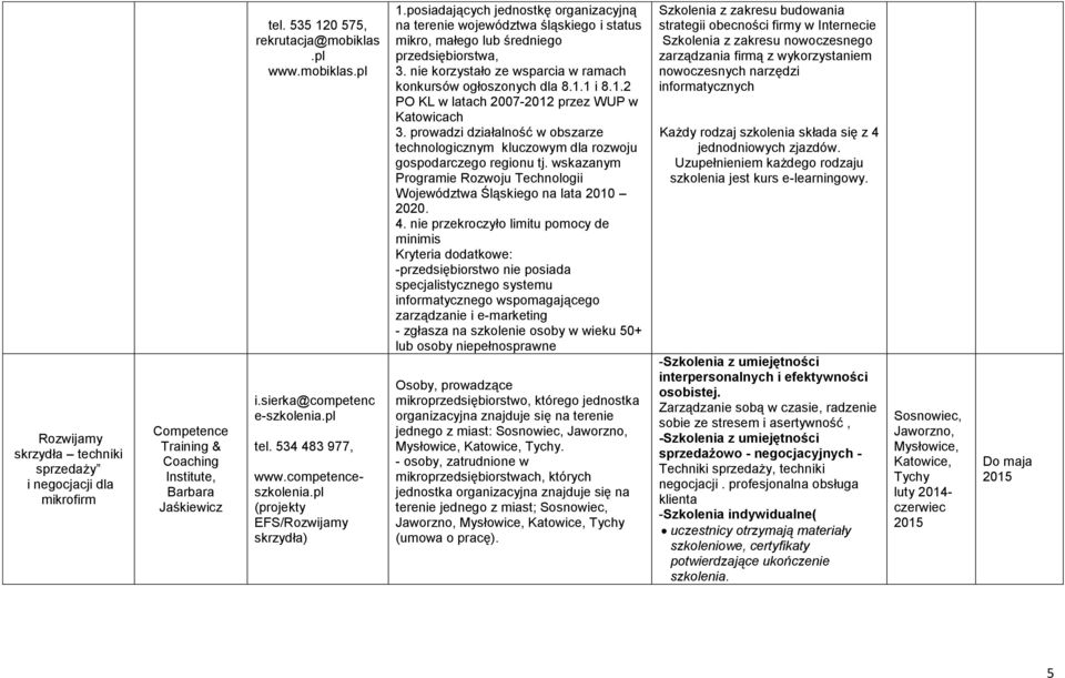 Szkolenia z zakresu budowania na terenie województwa śląskiego i status strategii obecności firmy w Internecie mikro, małego lub średniego przedsiębiorstwa, 3.