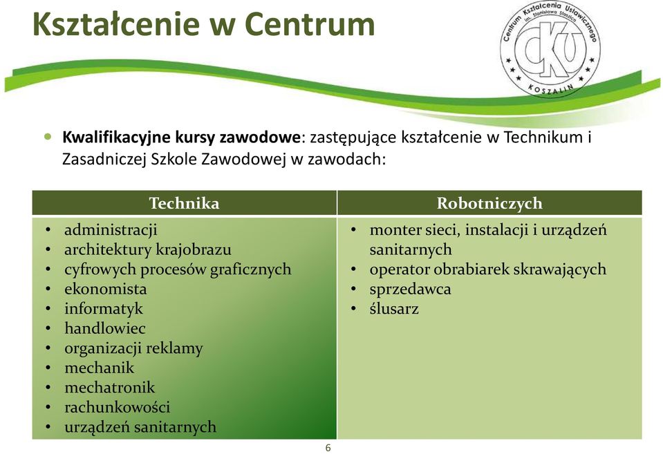 ekonomista informatyk handlowiec organizacji reklamy mechanik mechatronik rachunkowości urządzeń sanitarnych