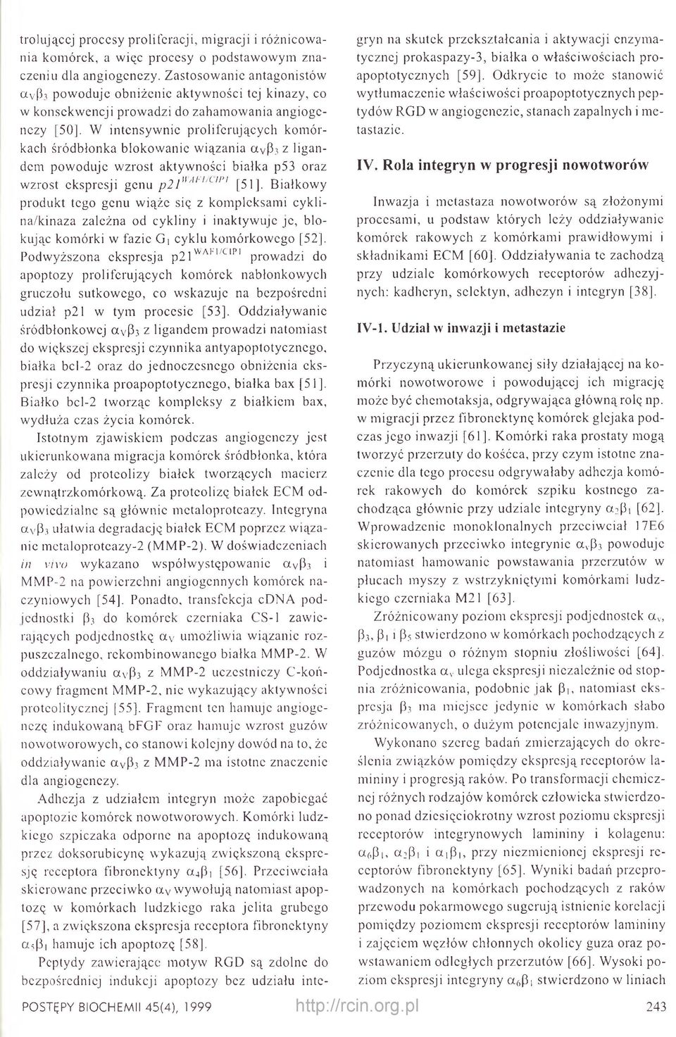 wiązania a vp3 z ligan- dem powoduje wzrost aktywności białka p53 oraz wzrost ekspresji genu p21" Al' l'ilfi [51], Białkowy produkt tego genu wiąże się z kompleksami cykli- na/kinaza zależna od