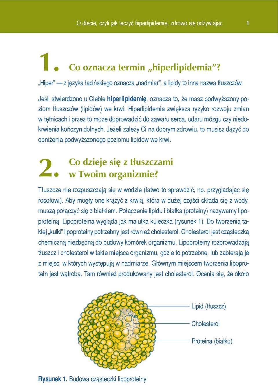 Hiperlipidemia zwiêksza ryzyko rozwoju zmian w têtnicach i przez to mo e doprowadziæ do zawa³u serca, udaru mózgu czy niedokrwienia koñczyn dolnych.