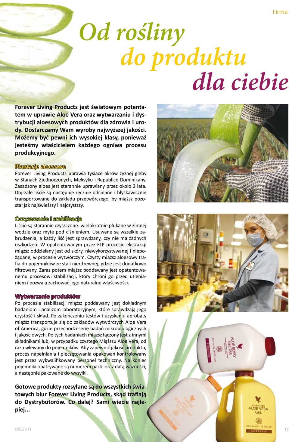 Plantacje aloesowe Forever Living Products uprawia tysiące akrów żyznej gleby w Stanach Zjednoczonych, Meksyku i Republice Dominikany. Zasadzony aloes jest starannie uprawiany przez około 3 lata.