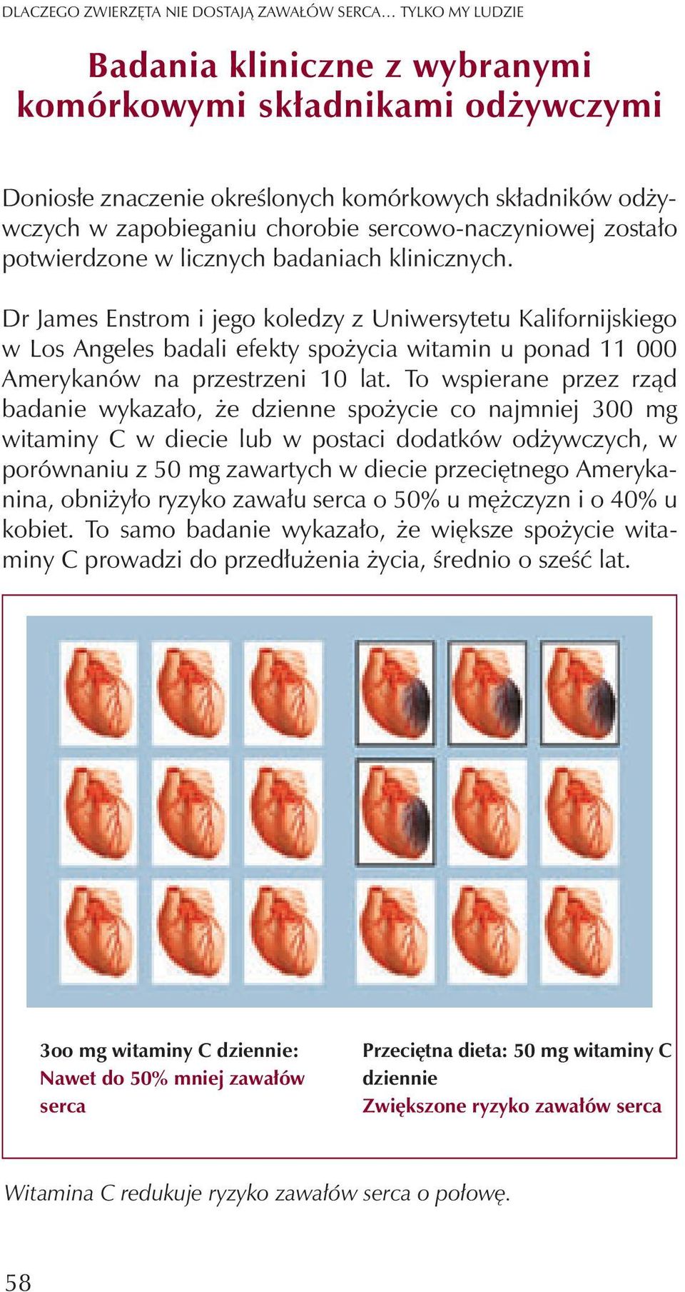 Dr James Enstrom i jego koledzy z Uniwersytetu Kalifornijskiego w Los Angeles badali efekty spo ycia witamin u ponad 11 000 Amerykanów na przestrzeni 10 lat.