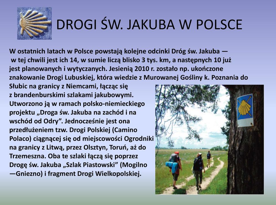 Poznania do Słubic na granicy z Niemcami, łącząc się z brandenburskimi szlakami jakubowymi. Utworzono ją w ramach polsko-niemieckiego projektu Droga św. Jakuba na zachód i na wschód od Odry.