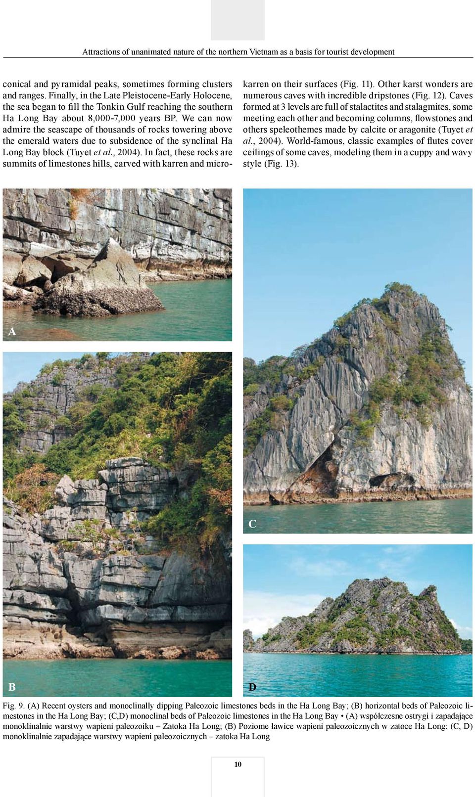 We can now admire the seascape of thousands of rocks towering above the emerald waters due to subsidence of the synclinal Ha Long Bay block (Tuyet et al., 2004).