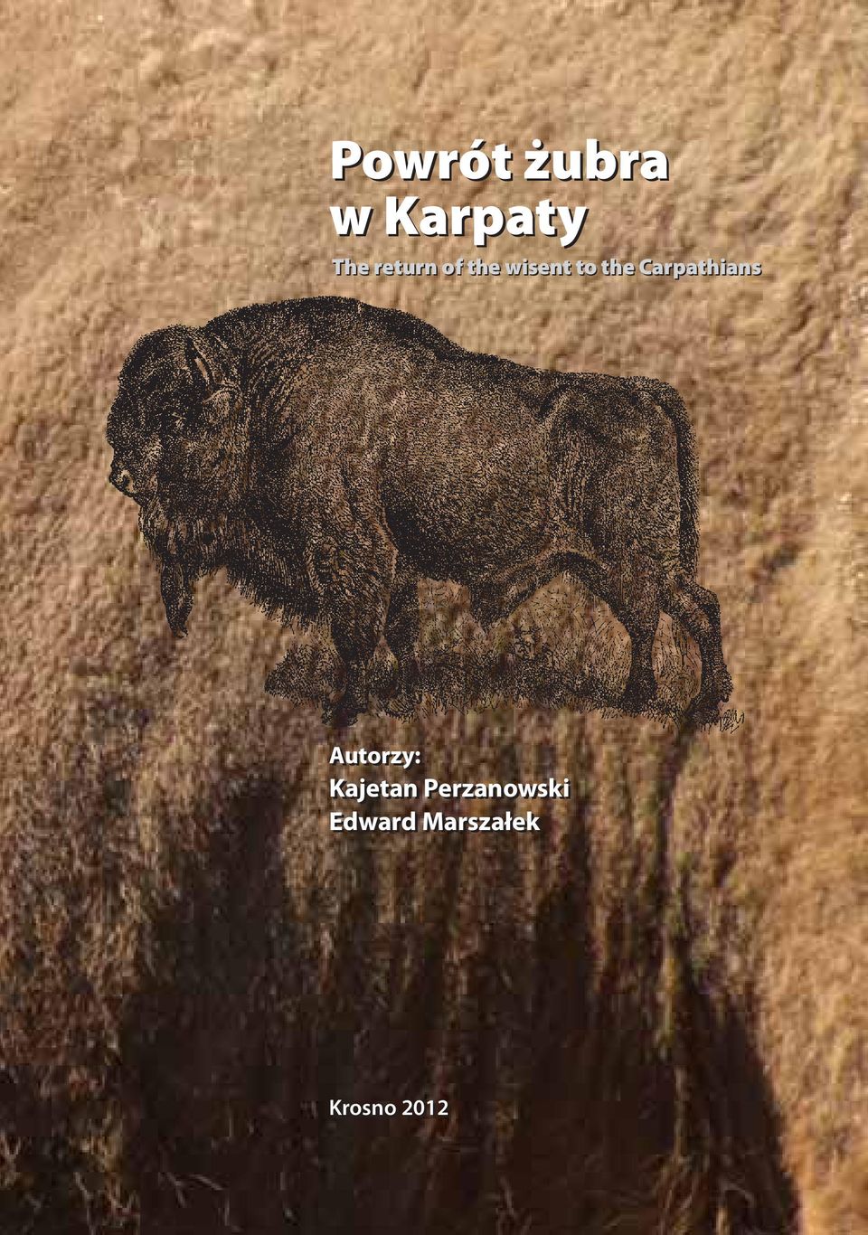 Carpathians Autorzy: Kajetan