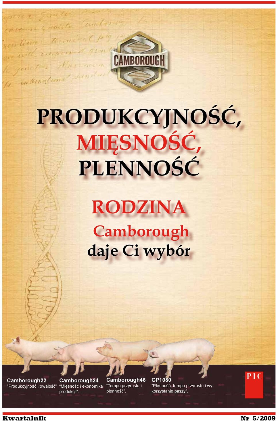 Mięsność i ekonomika produkcji.