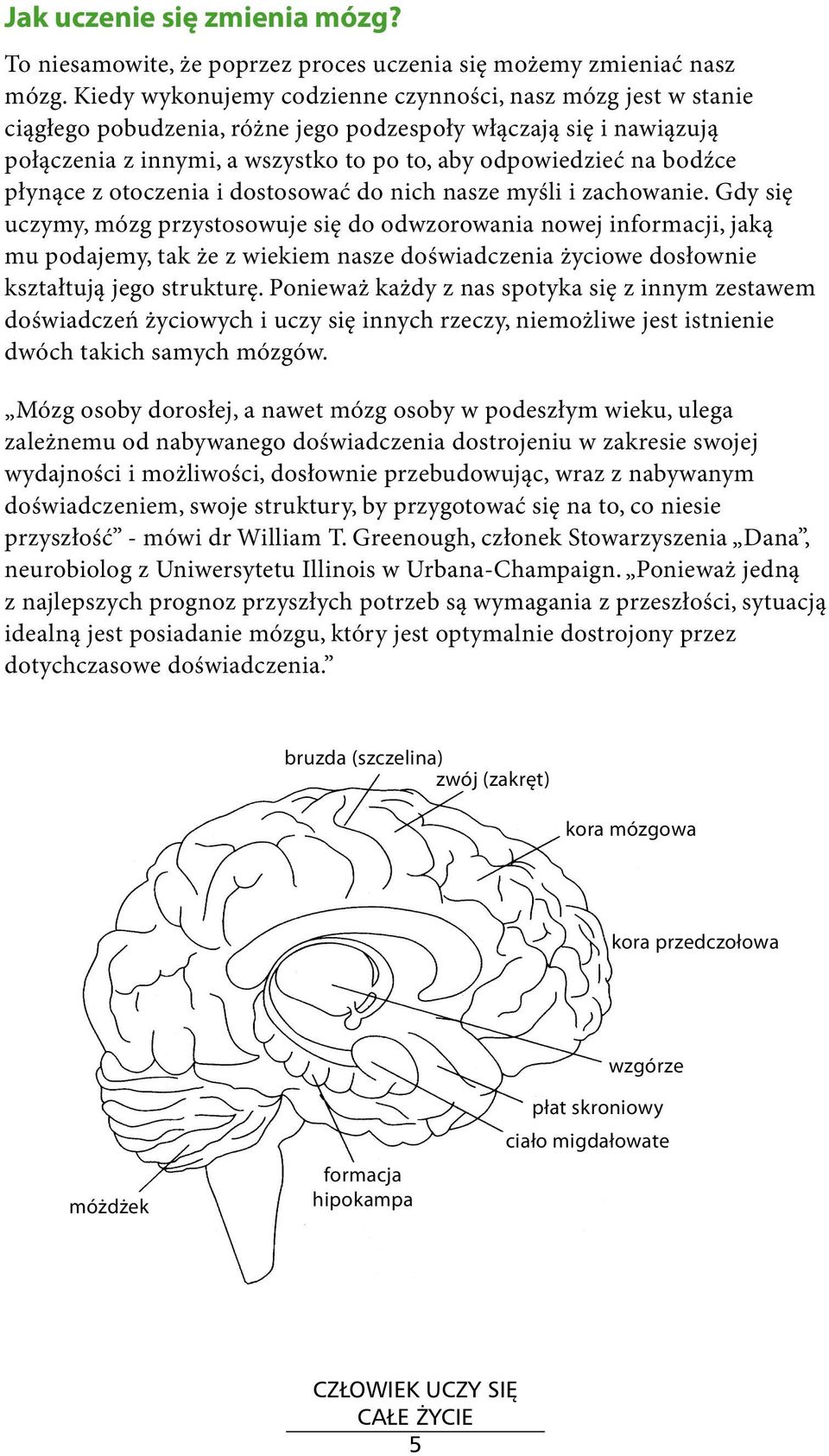 płynące z otoczenia i dostosować do nich nasze myśli i zachowanie.