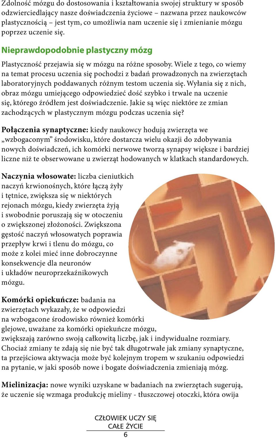 Wiele z tego, co wiemy na temat procesu uczenia się pochodzi z badań prowadzonych na zwierzętach laboratoryjnych poddawanych różnym testom uczenia się.