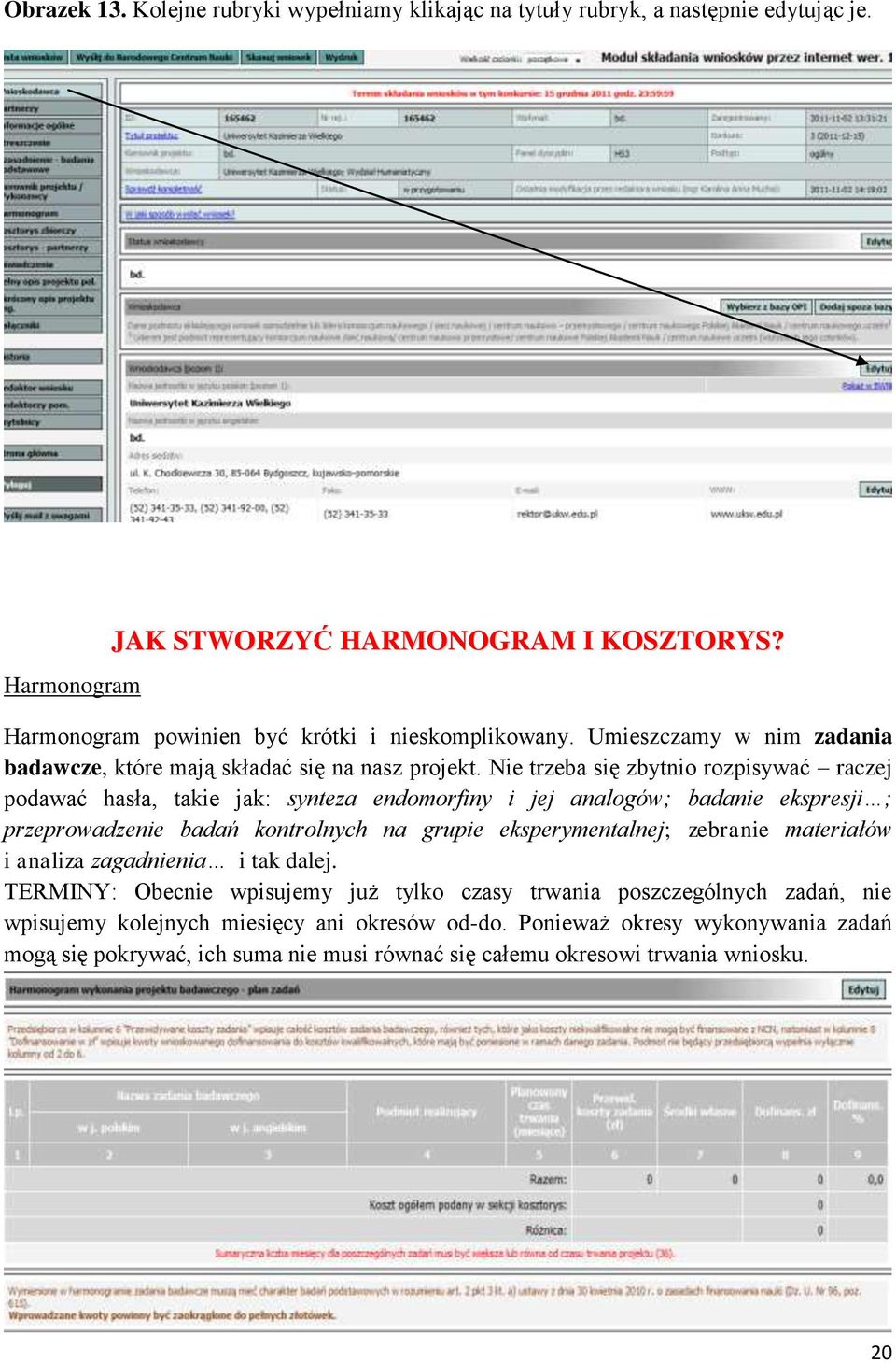 Nie trzeba się zbytnio rozpisywać raczej podawać hasła, takie jak: synteza endomorfiny i jej analogów; badanie ekspresji ; przeprowadzenie badań kontrolnych na grupie eksperymentalnej;