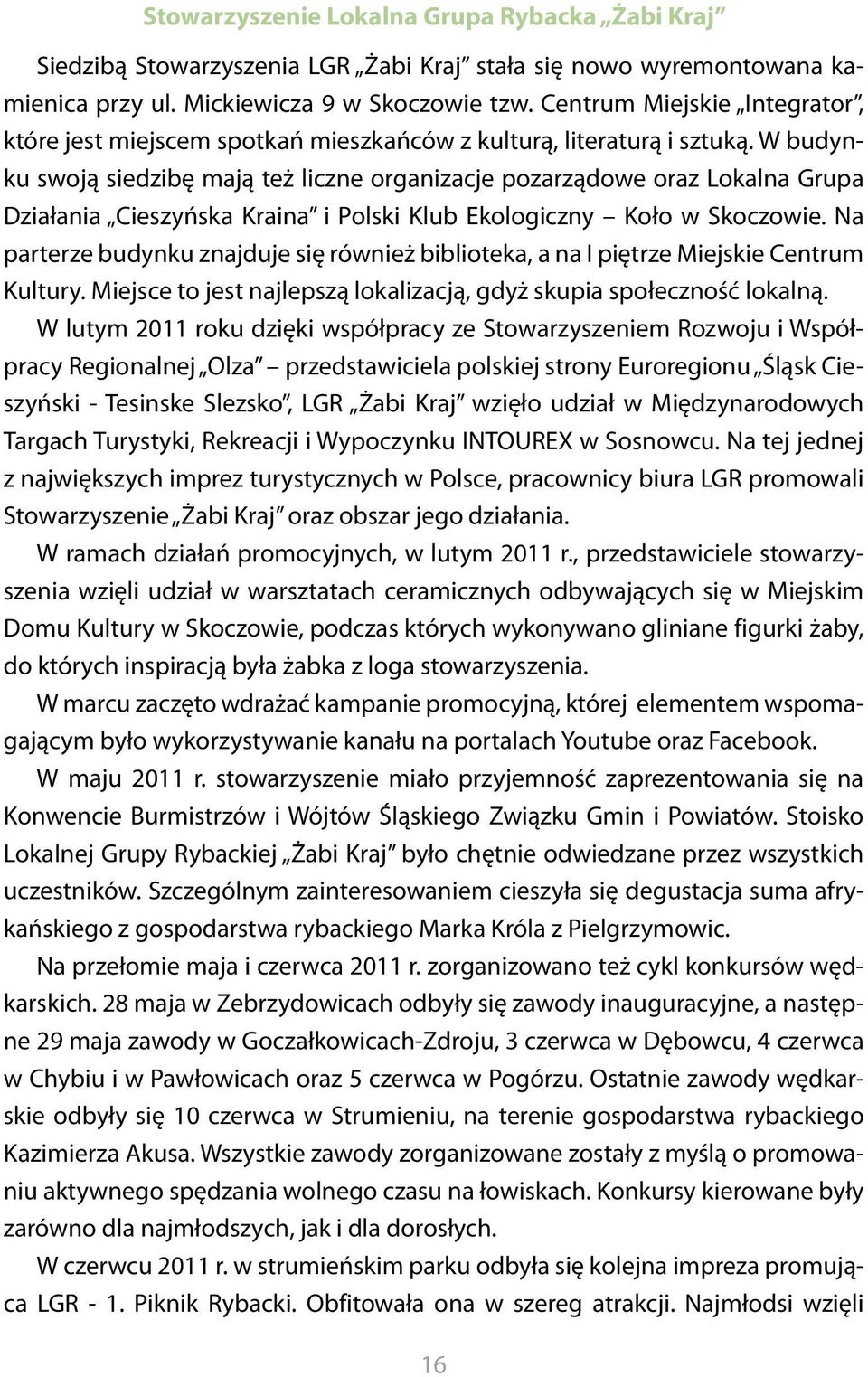 W budynku swoją siedzibę mają też liczne organizacje pozarządowe oraz Lokalna Grupa Działania Cieszyńska Kraina i Polski Klub Ekologiczny Koło w Skoczowie.