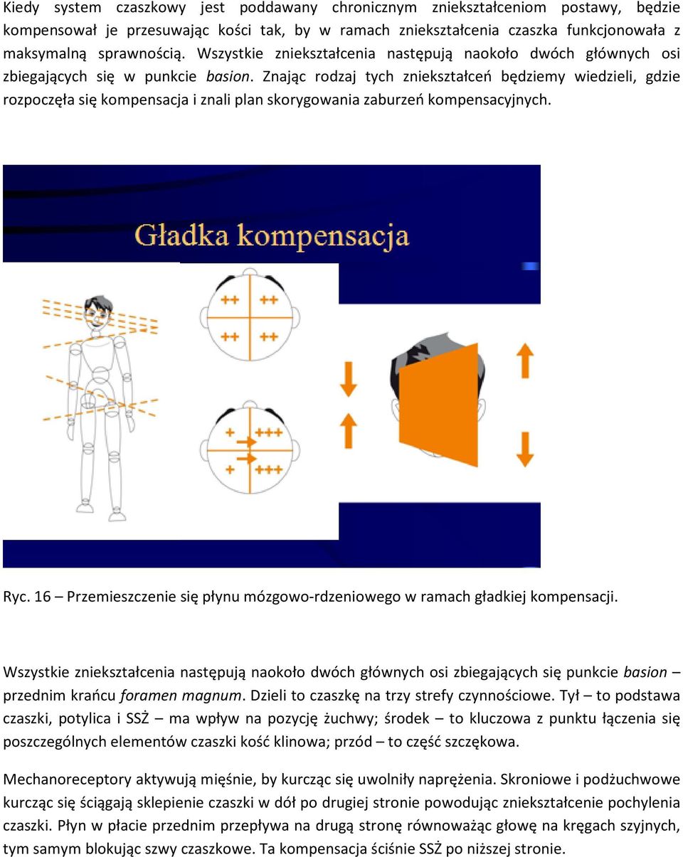 Znając rodzaj tych zniekształceń będziemy wiedzieli, gdzie rozpoczęła się kompensacja i znali plan skorygowania zaburzeń kompensacyjnych. Ryc.