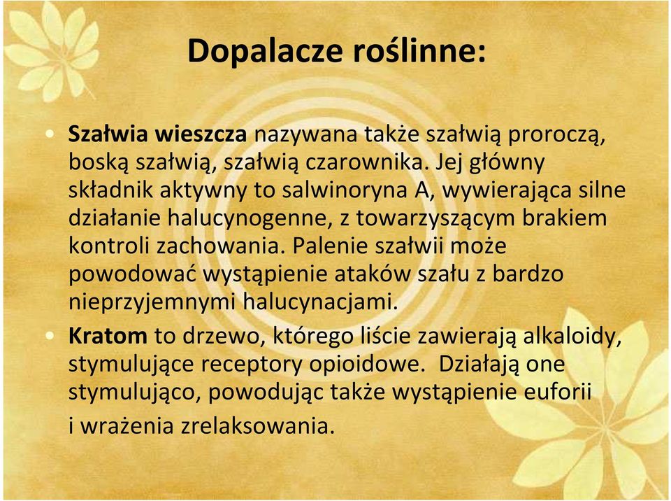 zachowania. Palenie szałwii może powodować wystąpienie ataków szału z bardzo nieprzyjemnymi halucynacjami.