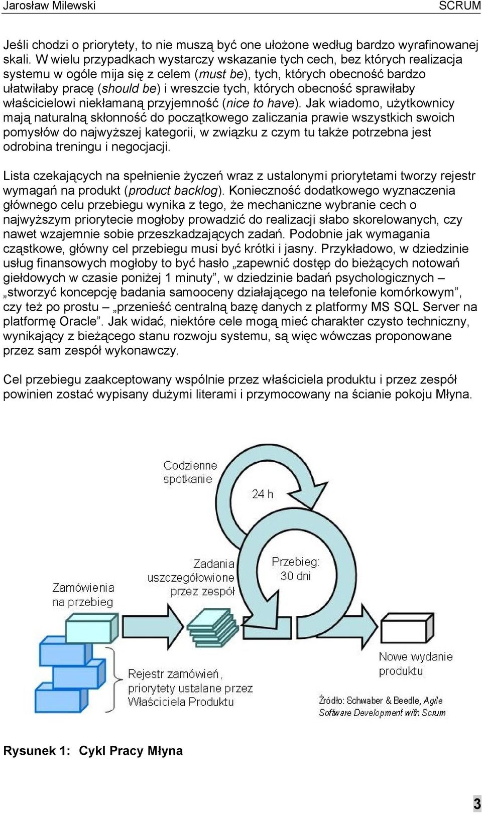 których obecność sprawiłaby właścicielowi niekłamaną przyjemność (nice to have).